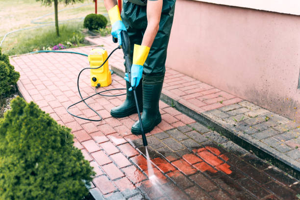 Best Solar Panel Cleaning  in Brenham, TX